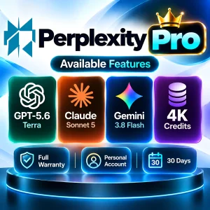 Perplexity Pro